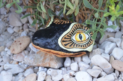 salamandra_4