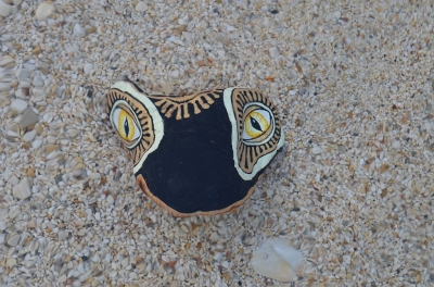 salamandra_8