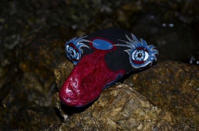 der nachtvogel_7
